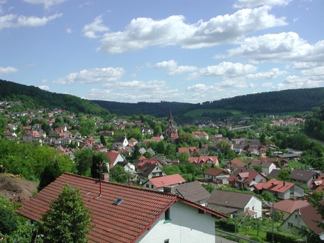 Blick auf Neckargerach