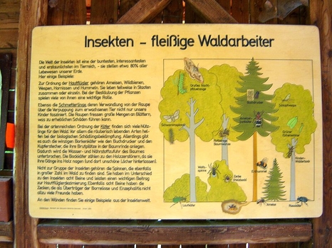 Waldlehrerpfad