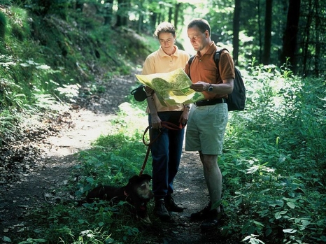 Wanderer im Wald beim Karte lesen