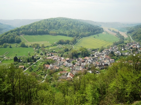 Blick auf Guttenbach